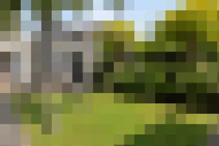Steneweg 86 Middelharnis thumbnail 31
