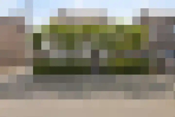 Steneweg 86 Middelharnis thumbnail 34