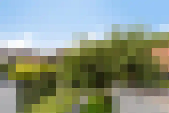 Steneweg 86 Middelharnis thumbnail 35