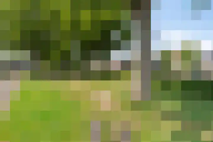 Steneweg 86 Middelharnis thumbnail 36