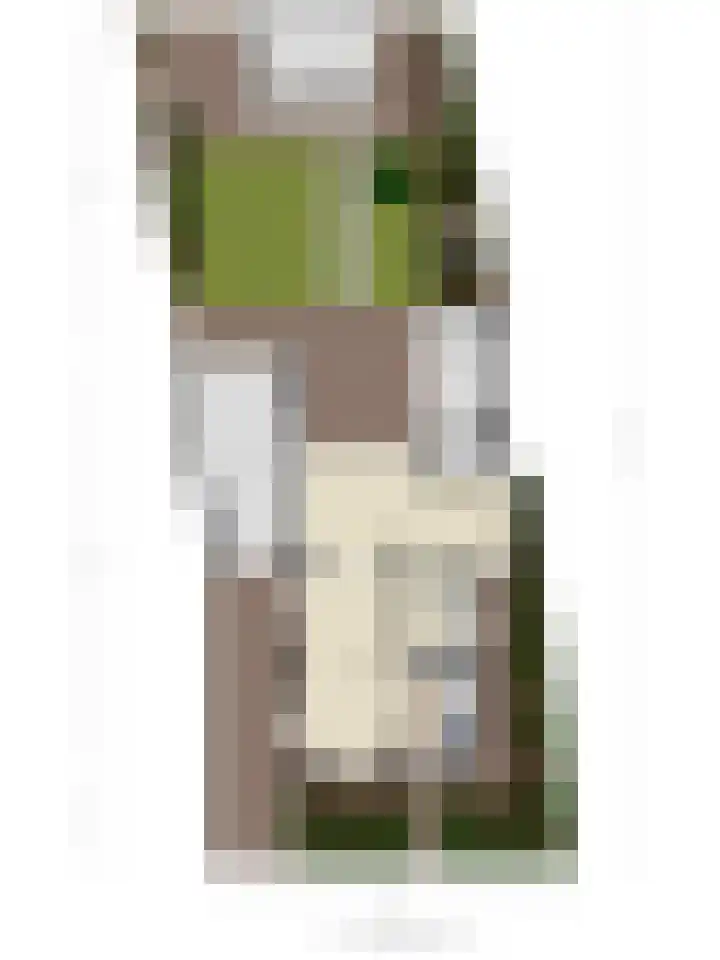Steneweg 86 Middelharnis thumbnail 37