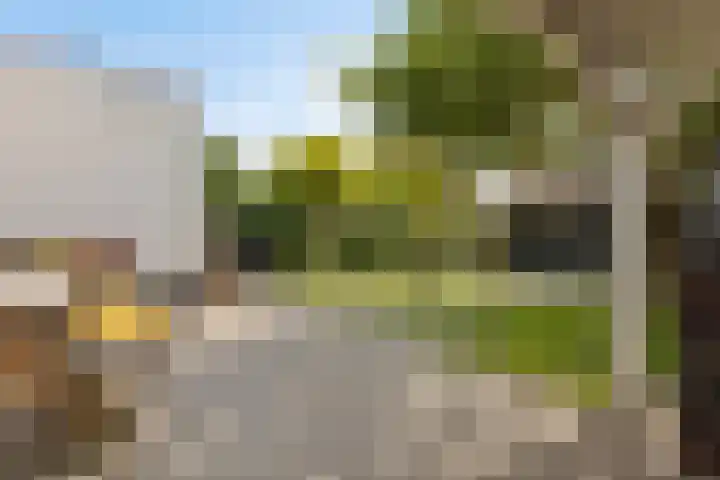 Steneweg 86 Middelharnis thumbnail 4