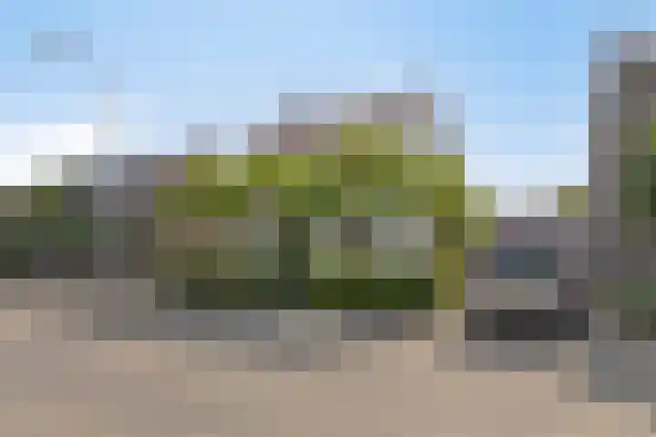 Steneweg 86 Middelharnis thumbnail 6