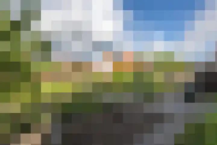 Steneweg 96 Middelharnis thumbnail 21