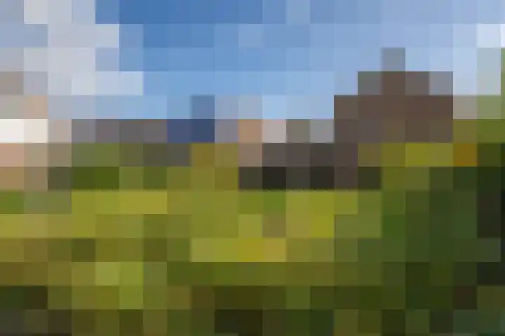 Steneweg 96 Middelharnis thumbnail 23