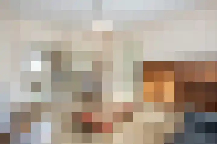 Steneweg 96 Middelharnis thumbnail 7