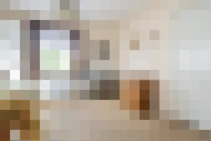 Steneweg 96 Middelharnis thumbnail 8