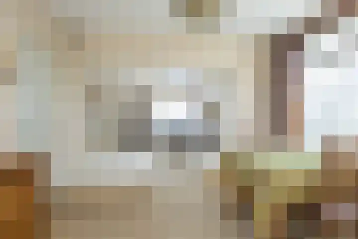 Steneweg 96 Middelharnis thumbnail 9