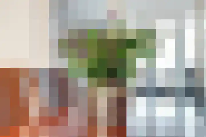 Stenge 27 Yerseke thumbnail 11