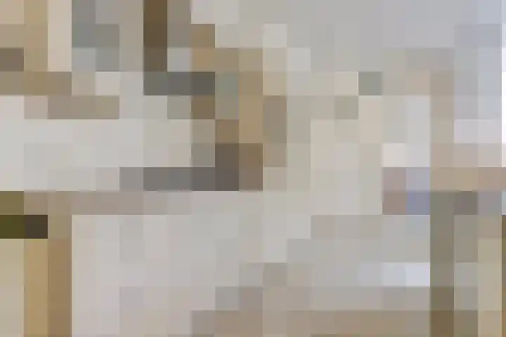 Stenge 27 Yerseke thumbnail 18