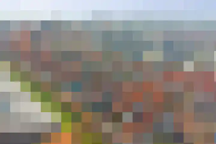Stenge 27 Yerseke thumbnail 42