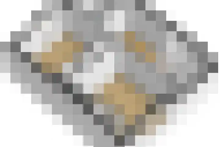 Stenge 27 Yerseke thumbnail 49