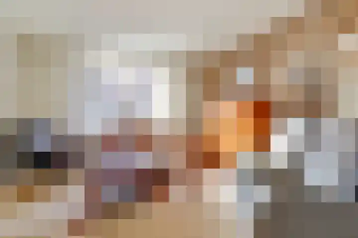 Stenge 27 Yerseke thumbnail 7