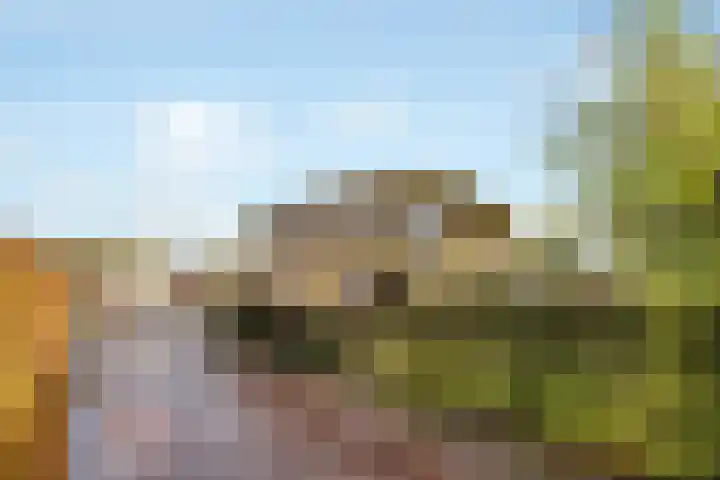 Stentorlaan 183 Enschede thumbnail 28