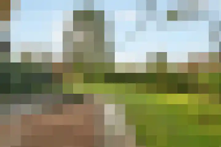 Stentorlaan 183 Enschede thumbnail 30