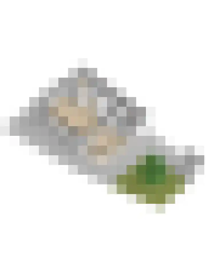Stentorlaan 4 Enschede thumbnail 47