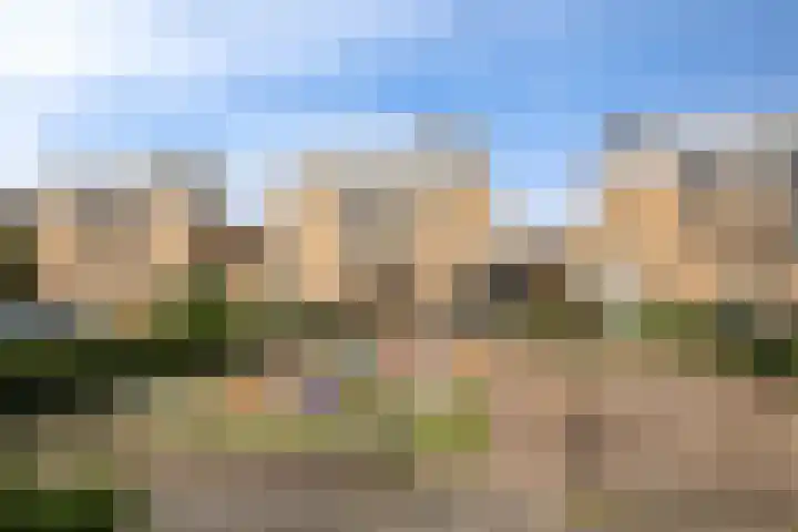 Stepelerveld 16 Nieuw-Vennep thumbnail 6