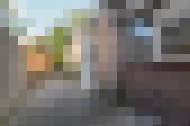 Stephanieweg 7 Oosterbeek thumbnail 12