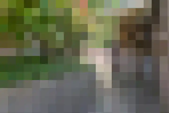 Stephanieweg 7 Oosterbeek thumbnail 13