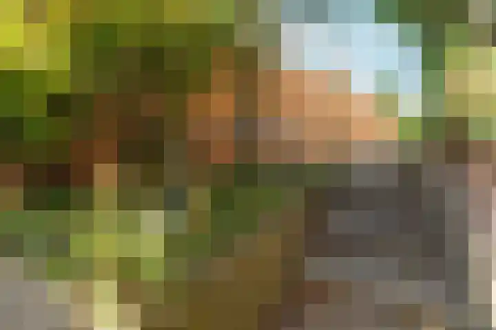 Stephanieweg 7 Oosterbeek thumbnail 14