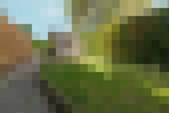 Stephanieweg 7 Oosterbeek thumbnail 15