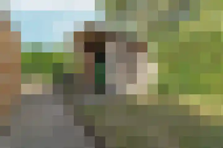 Stephanieweg 7 Oosterbeek thumbnail 16