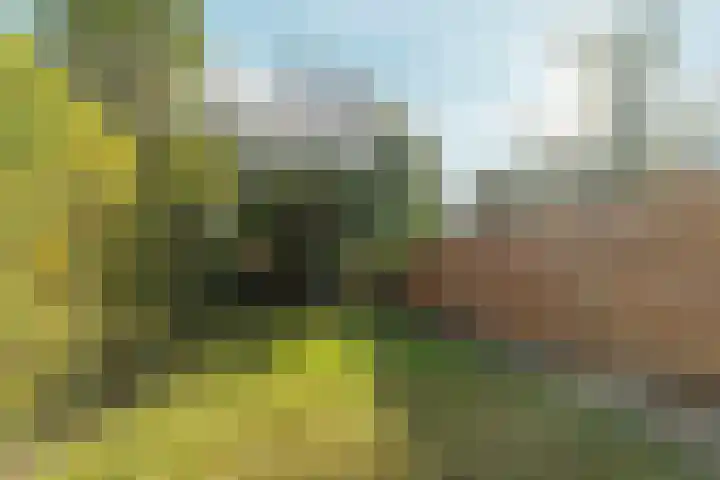 Stephanieweg 7 Oosterbeek thumbnail 18