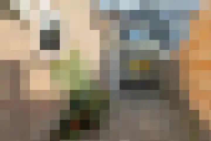 Stephanieweg 7 Oosterbeek thumbnail 19