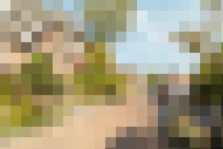 Stephanieweg 7 Oosterbeek thumbnail 36