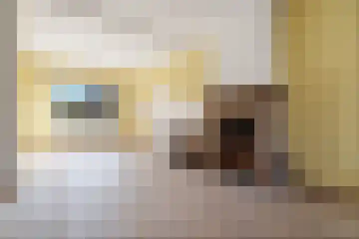 Stephanieweg 7 Oosterbeek thumbnail 6