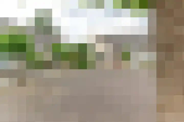 Stephanushof 13 Heel thumbnail 4