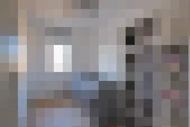 Steppemeer 5 Houten thumbnail 16