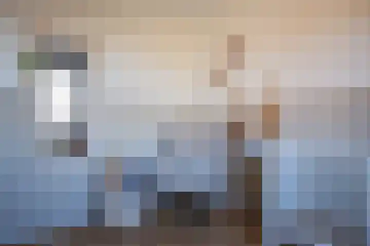 Steppemeer 5 Houten thumbnail 19