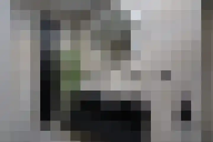 Steppemeer 5 Houten thumbnail 23