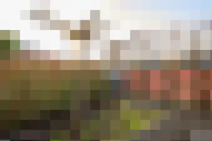 Steppemeer 5 Houten thumbnail 27