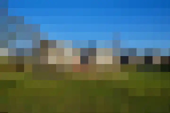Steppemeer 5 Houten thumbnail 28