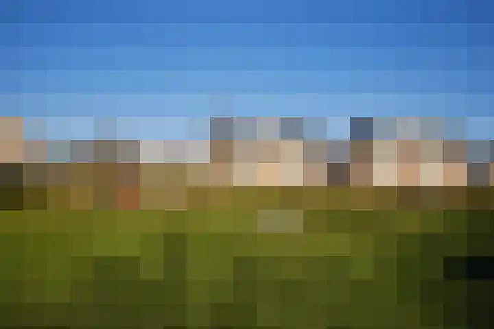Steppemeer 5 Houten thumbnail 29