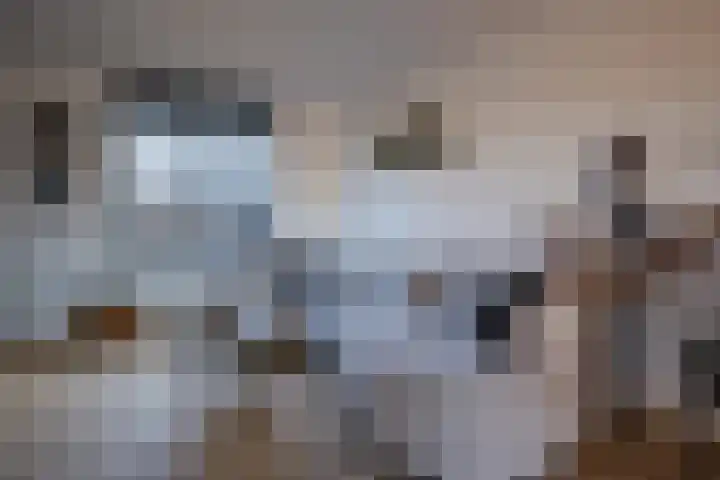 Steppemeer 5 Houten thumbnail 4