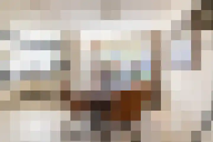 Steppestraat 2 Purmerend thumbnail 15