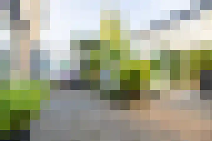 Steppestraat 2 Purmerend thumbnail 42
