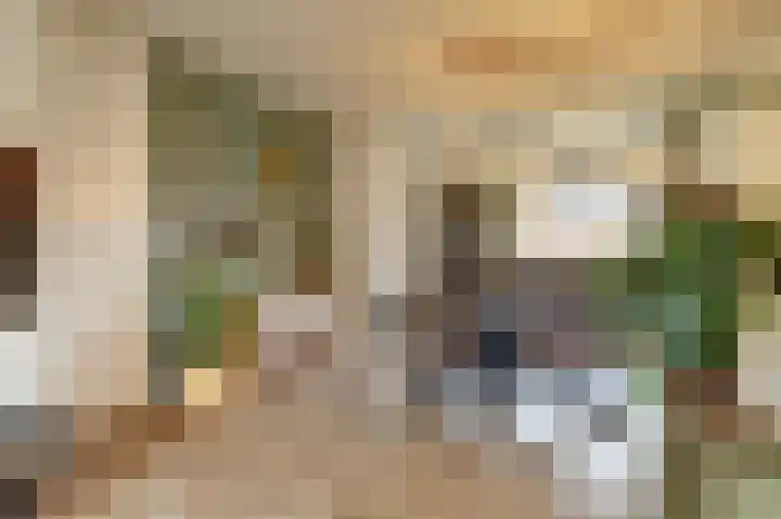 Sterakkers 15 Hoogeloon thumbnail 16