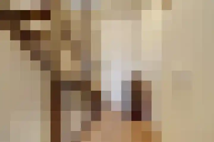 Sterakkers 15 Hoogeloon thumbnail 25