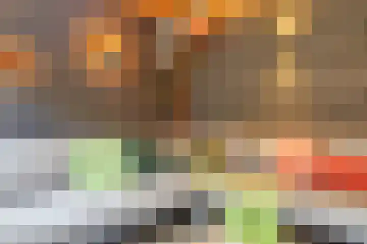 Sterakkers 15 Hoogeloon thumbnail 41