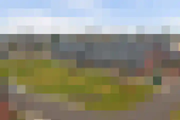 Sterakkers 15 Hoogeloon thumbnail 48