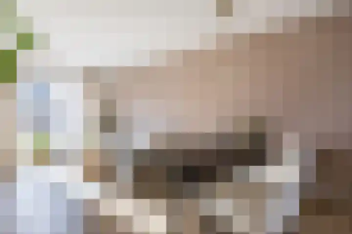 Sterakkers 17 Hoogeloon thumbnail 10