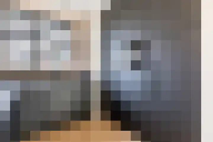 Sterakkers 17 Hoogeloon thumbnail 17