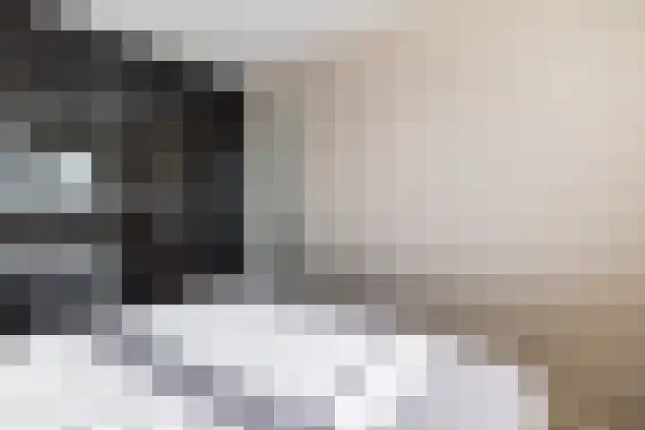Sterakkers 17 Hoogeloon thumbnail 21