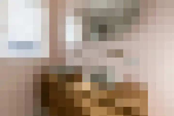 Sterakkers 17 Hoogeloon thumbnail 25