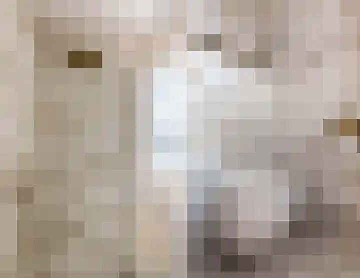 Sterakkers 17 Hoogeloon thumbnail 26