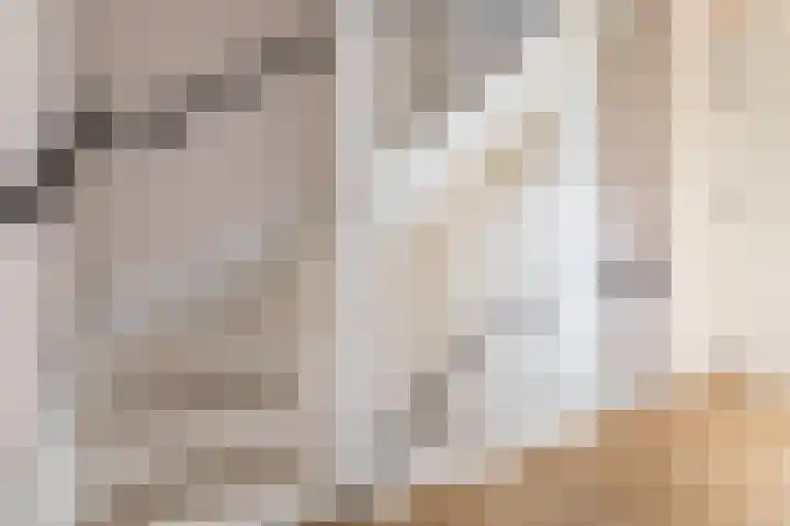 Sterakkers 17 Hoogeloon thumbnail 27